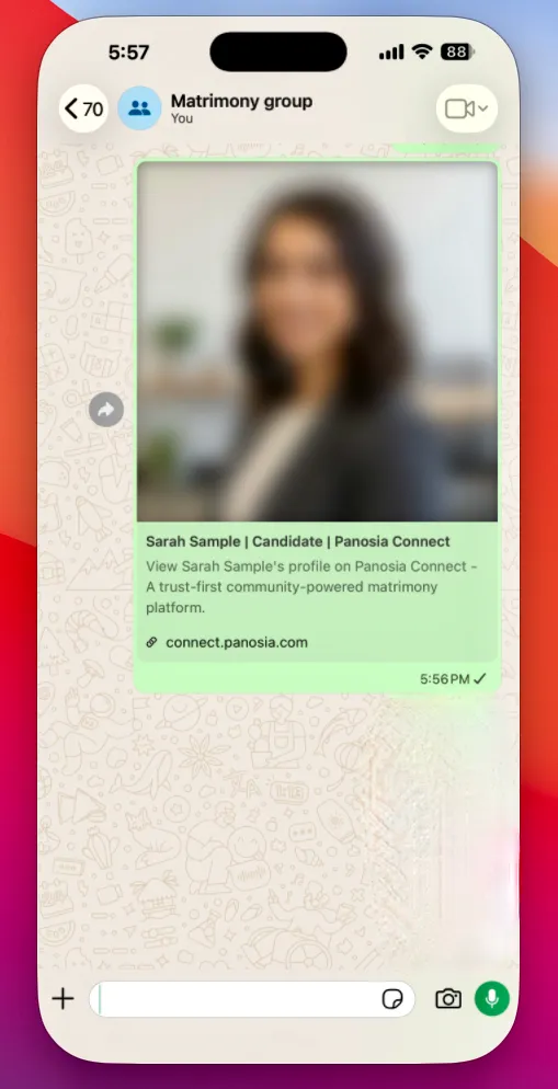 A Panosia Connect profile shown in Public View, with the photo blurred and the name partially hidden until private access is granted